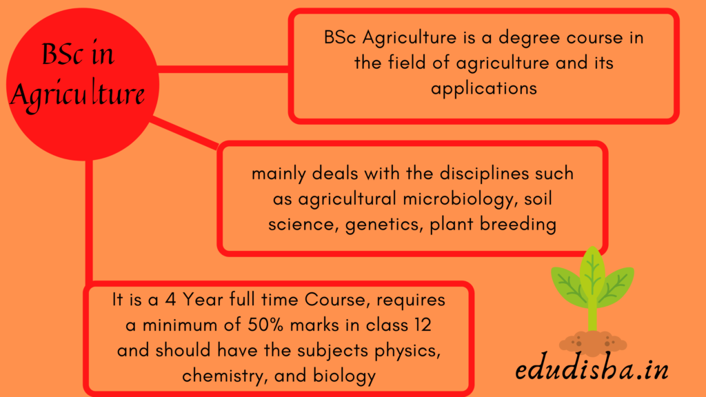 BSc in Agriculture