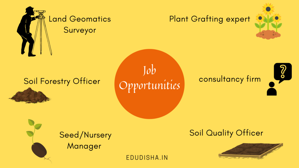 BSc in Agriculture Job Opportunities