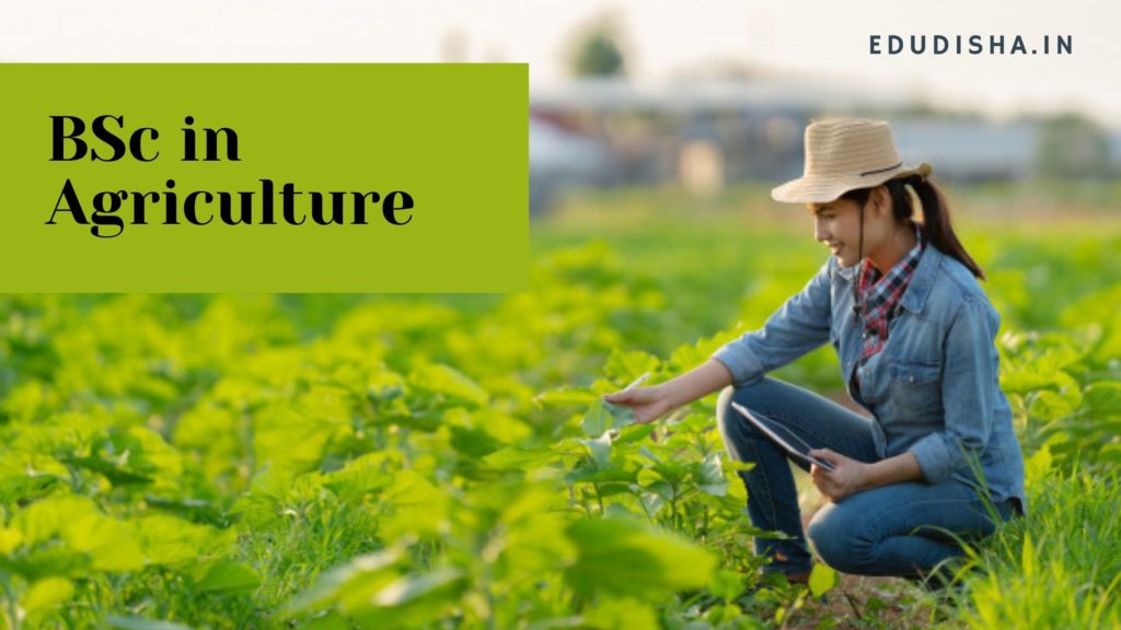 BSc in Agriculture